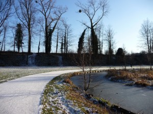 parc_45_20101019_1541356653