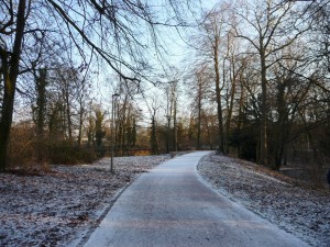 parc_46_20101019_1490753518