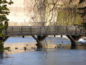 parc_47_20101019_1308446633