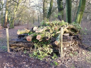 parc_48_20101019_1076036108