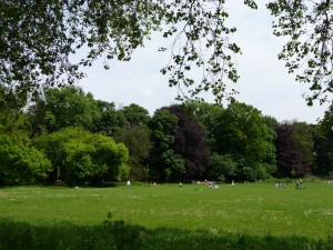 parc_50_20101019_1793314560