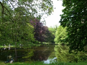 parc_52_20101019_1023495392
