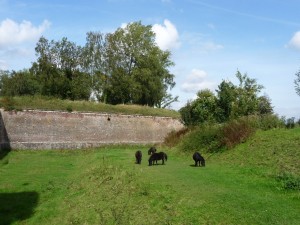 parc_53_20101019_1407681046