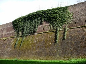 parc_57_20101019_1539183011
