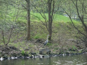 parc_61_20101019_1782623291