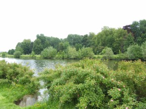 parc_citadelle_16_1_20090222_1025368836