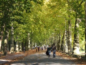 parc_citadelle_19_1_20090222_1507941895