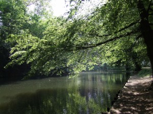parc_citadelle_8_1_20090222_1289612528
