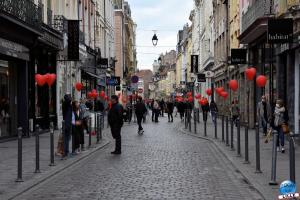 Photo de Lille - 77