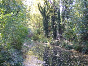 plaine_de_la_poterne_12_20090222_1221559002