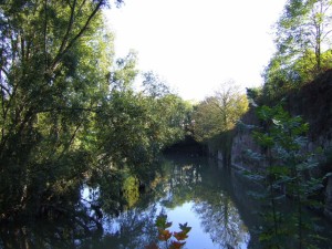 plaine_de_la_poterne_13_20090222_1989324791