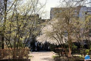 Printemps 2021 - 03