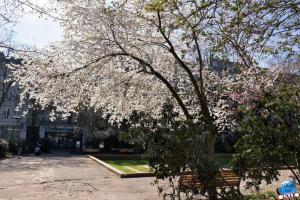 Printemps 2021 - 04
