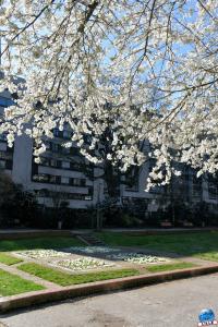 Printemps 2021 - 06