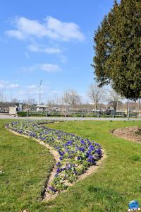Printemps 2021 - 09