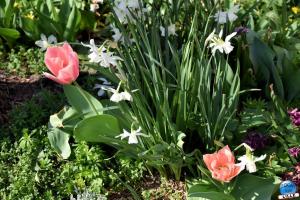 Printemps 2021 - 102