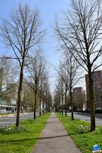 Printemps 2021 - 107