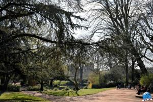 Printemps 2021 - 12