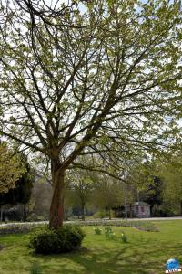 Printemps 2021 - 120