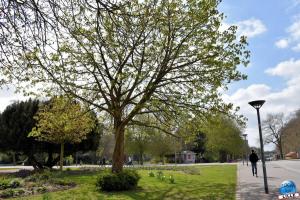 Printemps 2021 - 121