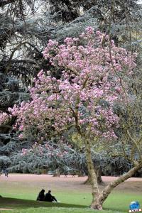 Printemps 2021 - 130