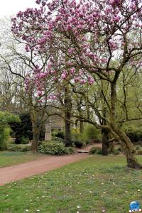 Printemps 2021 - 132