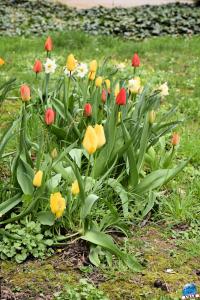 Printemps 2021 - 138