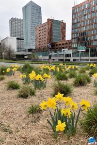 Printemps 2021 - 142