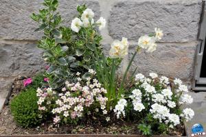 Printemps 2021 - 143