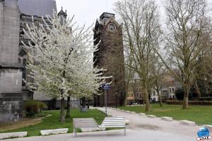 Printemps 2021 - 144