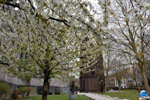 Printemps 2021 - 145