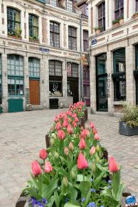 Printemps 2021 - 146