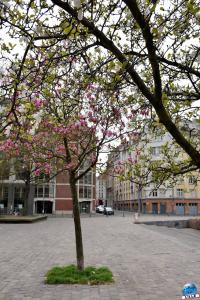 Printemps 2021 - 148
