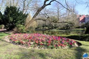Printemps 2021 - 15