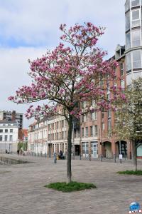 Printemps 2021 - 150