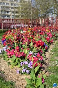 Printemps 2021 - 154