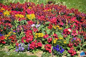 Printemps 2021 - 155