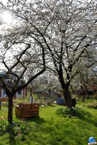 Printemps 2021 - 158