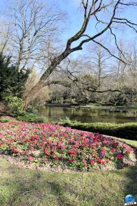 Printemps 2021 - 16