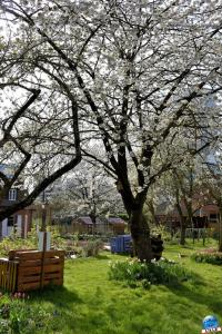 Printemps 2021 - 159