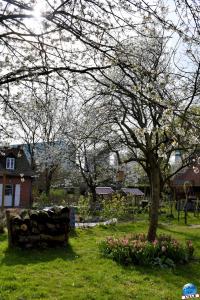 Printemps 2021 - 161