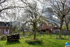 Printemps 2021 - 162