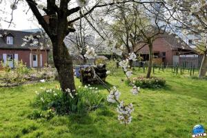 Printemps 2021 - 164