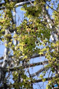 Printemps 2021 - 169