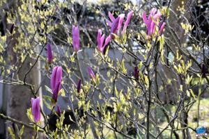 Printemps 2021 - 171