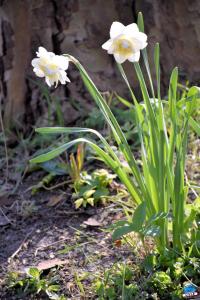 Printemps 2021 - 172
