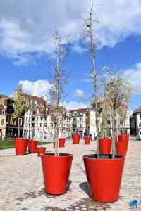 Printemps 2021 - 174