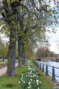Printemps 2021 - 177
