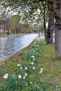 Printemps 2021 - 180