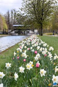 Printemps 2021 - 181